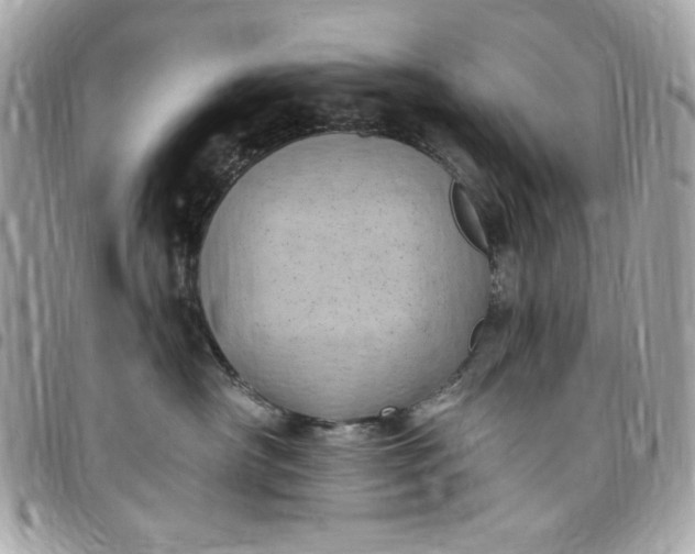 X0000097790430200803211825