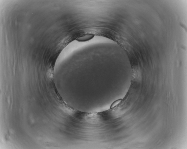 X0000097790431200803211825