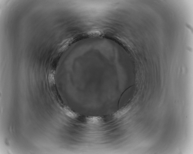X0000097790432200803211825