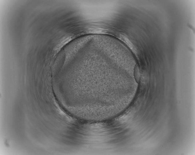 X0000097790433200803211824