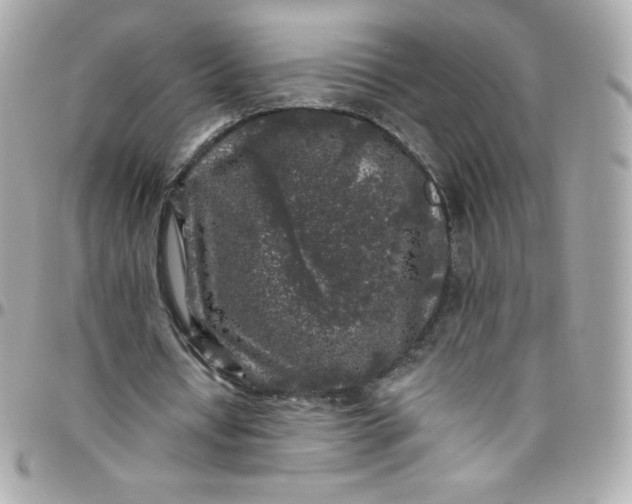 X0000097790434200803211824