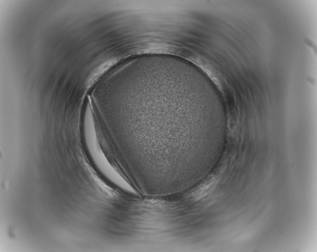 X0000097790437200803211824