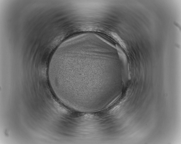 X0000097790441200803211824