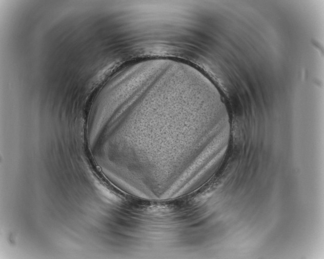 X0000097790445200803211824