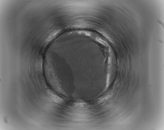 X0000097790446200803211824