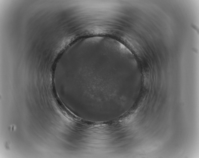 X0000097790447200803211824