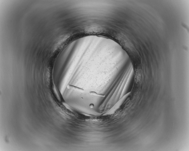 X0000097790448200803211824