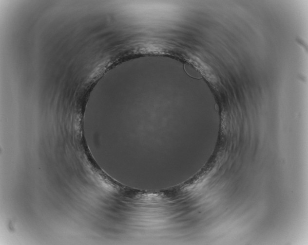 X0000097790449200803211824