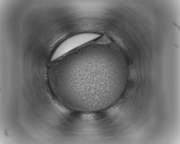 X0000097790450200803211824