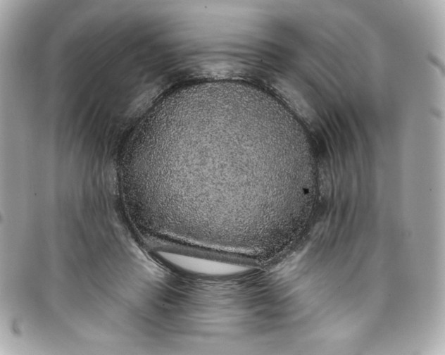 X0000097790453200803211824