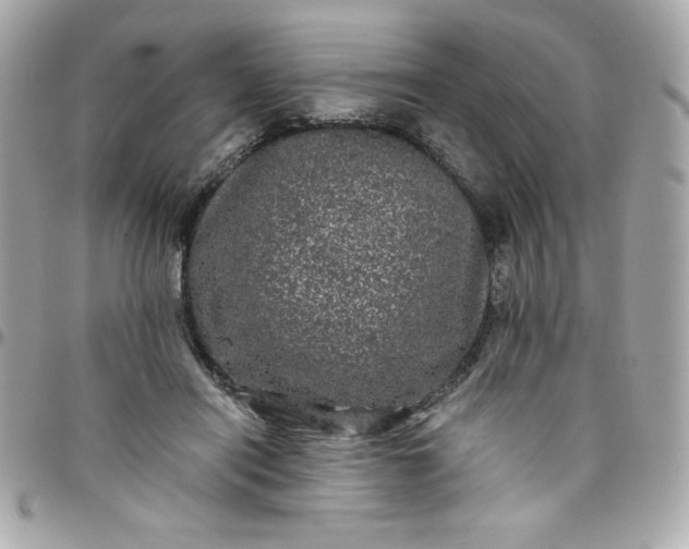 X0000097790454200803211824