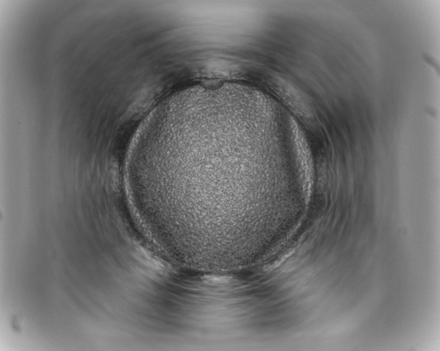 X0000097790457200803211825