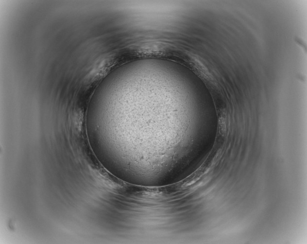 X0000097790458200803211825