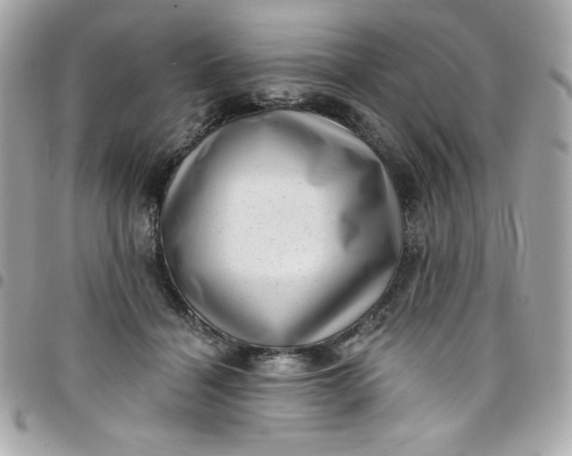 X0000097790460200803211825