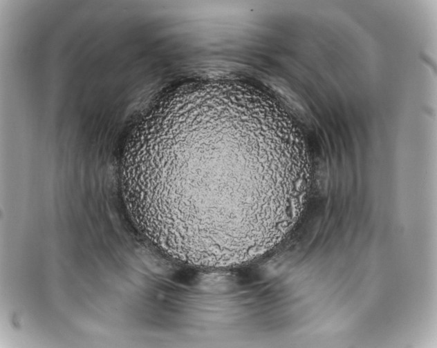 X0000097790461200803211825