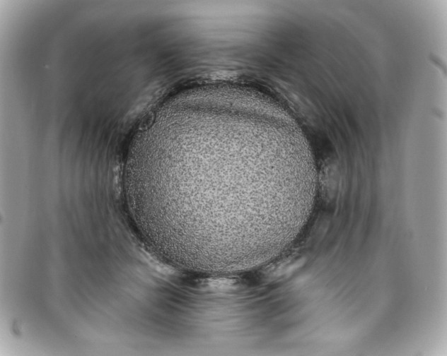 X0000097790462200803211825