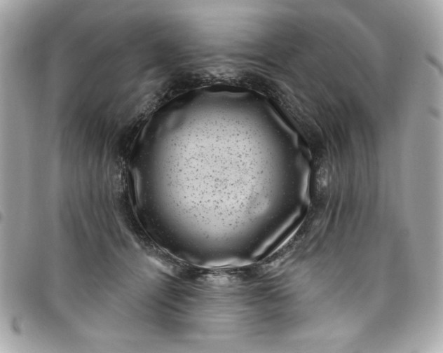 X0000097790464200803211825