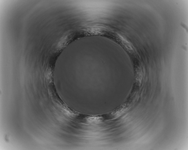 X0000097790465200803211825