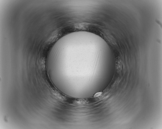 X0000097790466200803211825
