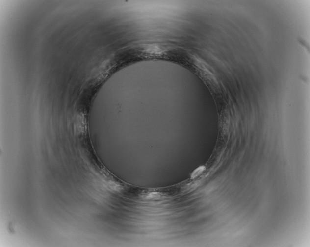 X0000097790467200803211825
