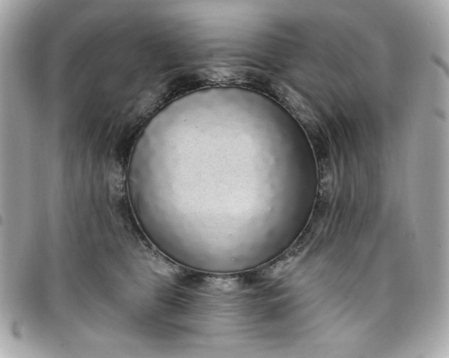 X0000097790469200803211825