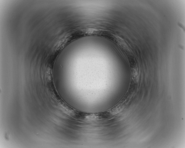 X0000097790470200803211825