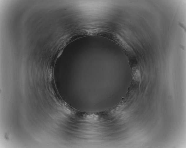 X0000097790471200803211825