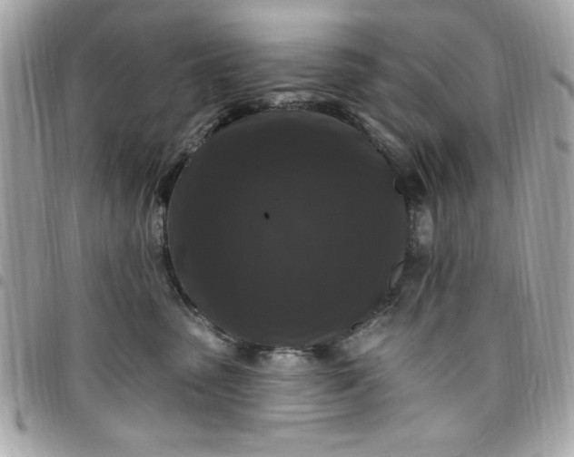 X0000097790475200803211825