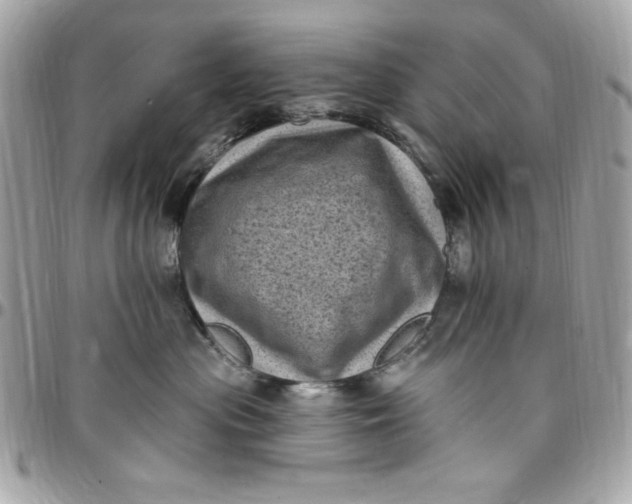 X0000097790477200803211825
