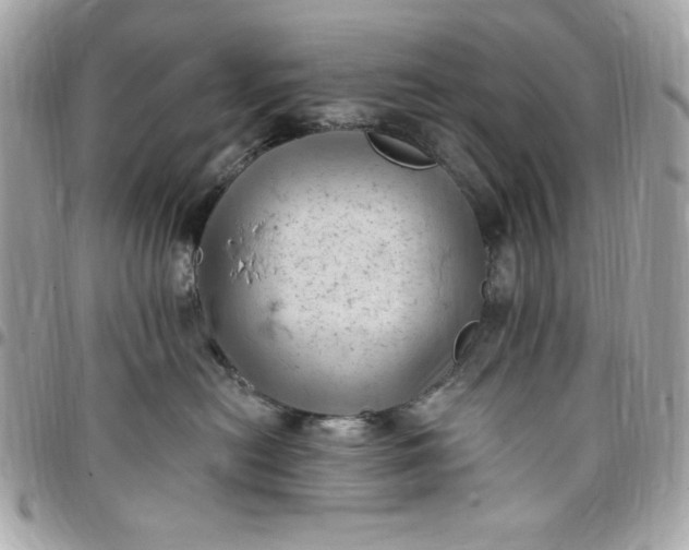 X0000097790478200803211825