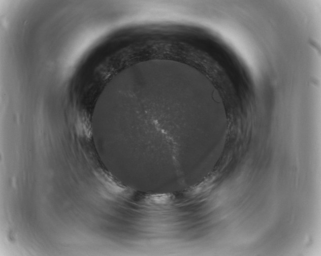 X0000097790479200803211825