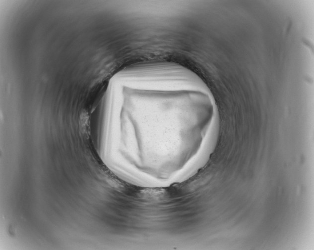 X0000097790480200803211825