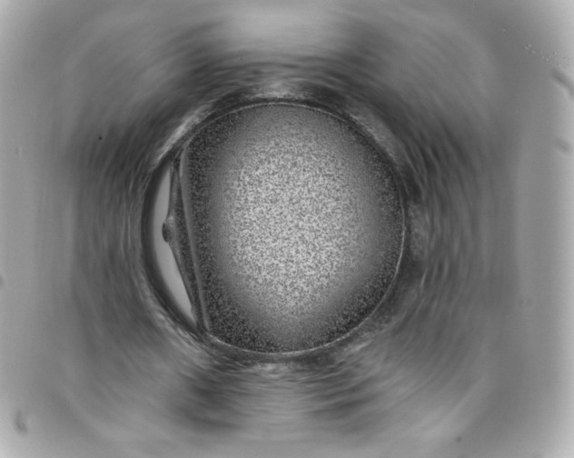 X0000097790482200803211824