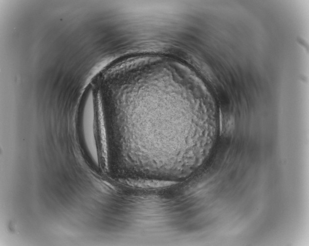 X0000097790483200803211824