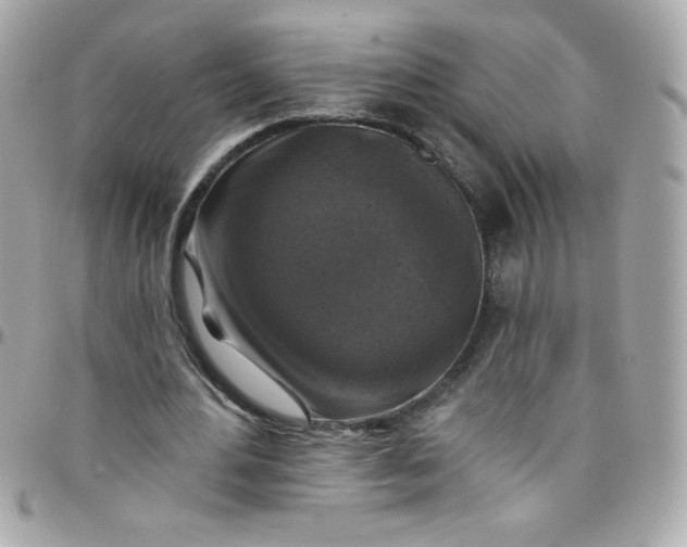 X0000097790484200803211824