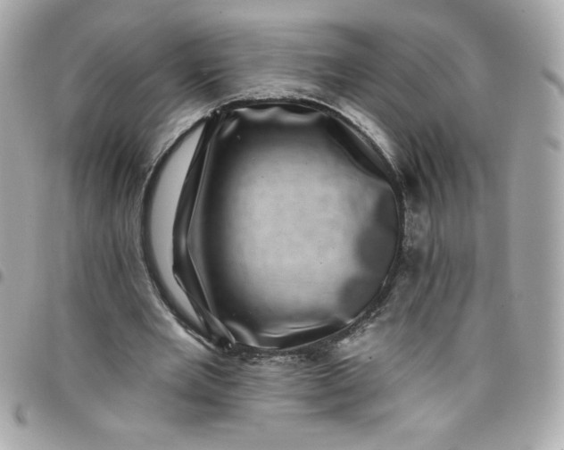 X0000097790485200803211824