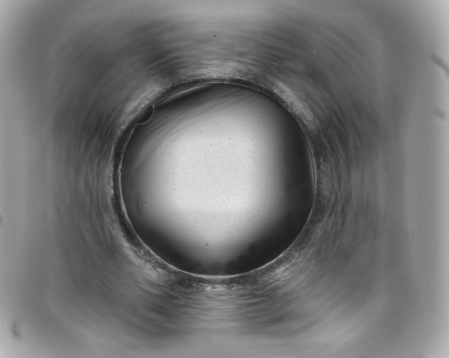 X0000097790486200803211824
