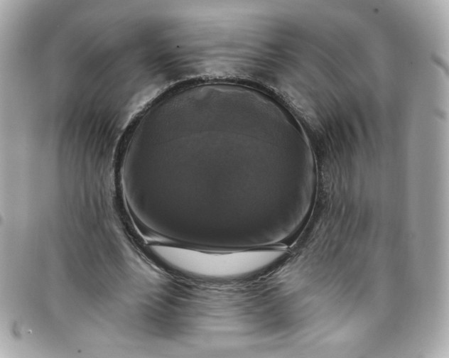 X0000097790488200803211824