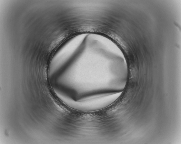 X0000097790489200803211824