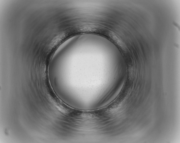 X0000097790490200803211824