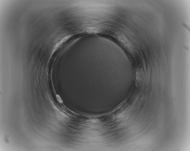 X0000097790492200803211824