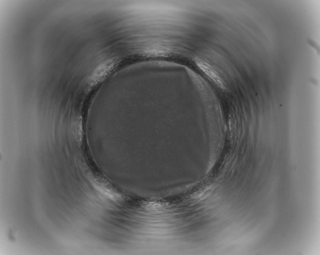 X0000097790494200803211824