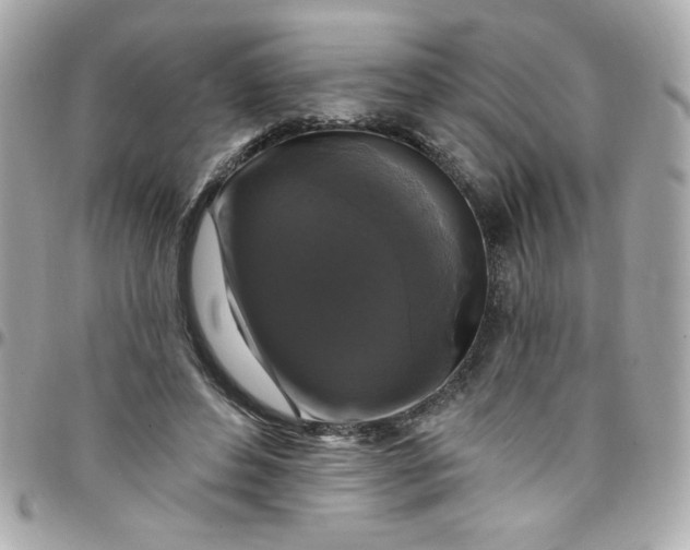 X0000097790496200803211824