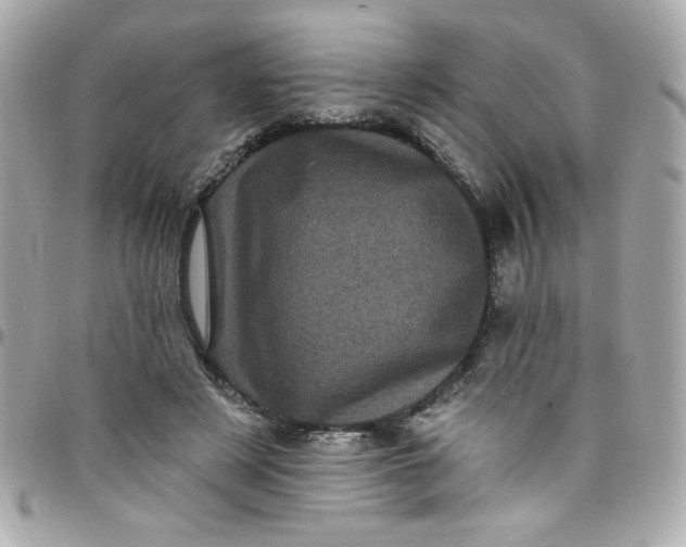 X0000097790497200803211824