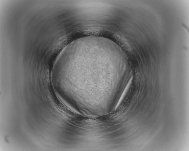 X0000097790498200803211824