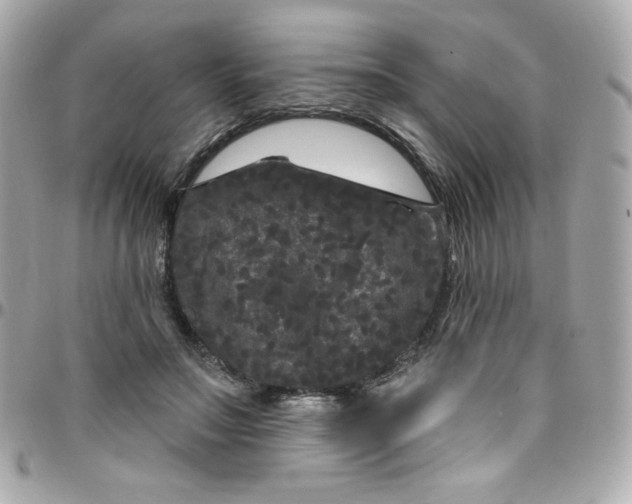 X0000097790499200803211824