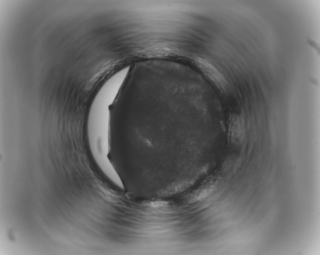 X0000097790501200803211824