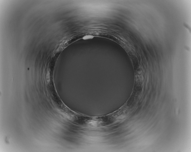 X0000097790504200803211824