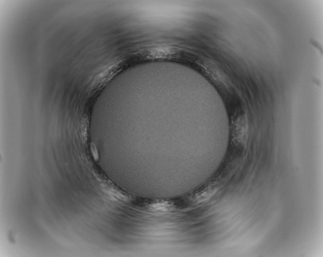 X0000097790505200803211824