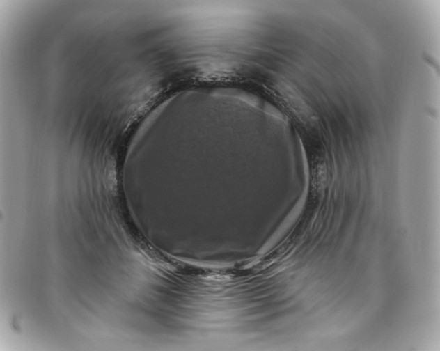 X0000097790508200803211824
